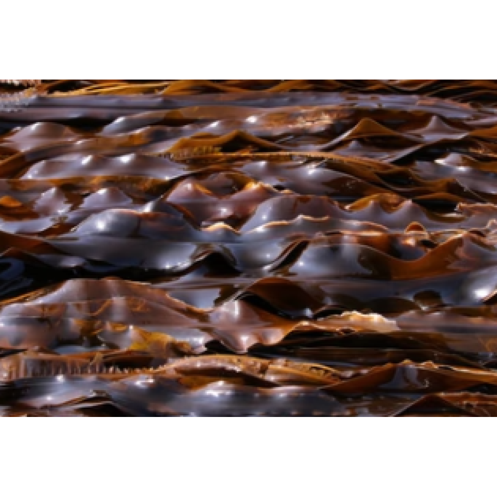 CARELIKA Exotic Body Scrub – kūno šveitiklis su greipfrutu, jūros druska ir eteriniu mandarinų aliejumi, 200 ml