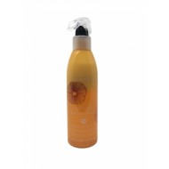 ECHOSLINE Argan Bi-phase conditioner – apsauginis dviejų fazių kondicionierius, 300 ml