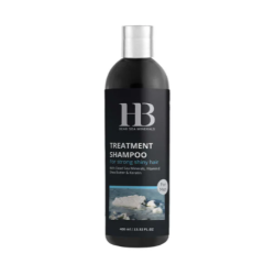H&B Treatment Shampoo For Men - šampūnas vyrams, 400 ml