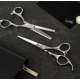 Lameo STAGE PRO SET OFFSET SILVER - Profesionalių kirpimo žirklių rinkinys su dėklu (370.935)