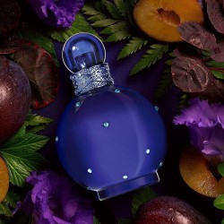Britney Spears Midnight Fantasy, EDP – moteriški kvepalai