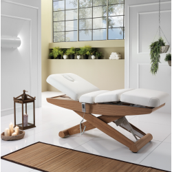Profesionali elektrinė masažo kušetė su trimis varikliais ir chromoterapijos funkcija COLONIAL WOOD SPA