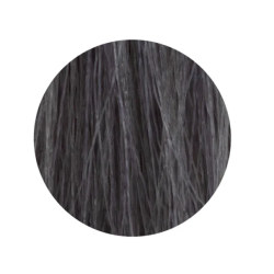 ETB Hair Permanent Color Cream - 10.11 - BLONDE PLATINUM INTENSE ASH