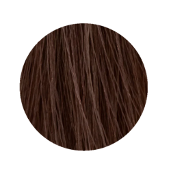 ETB Hair Permanent Color Cream - 8.32 - LIGHT BLONDE GOLDEN IRIS