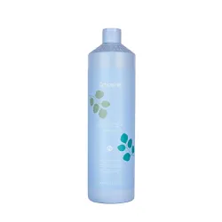 ECHOSLINE Balance+ Shampoo – seboreguliuojantis šampūnas, 1000 ml