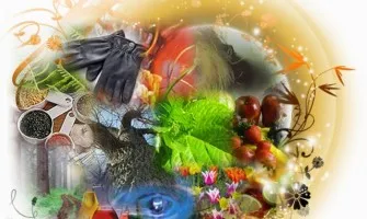 Auksinės taisyklės renkantis kvepalus