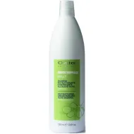 Oyster FRUIT SUBLIME Olive Shampoo – atstatomasis šampūnas, 1000 ml