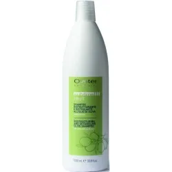 Oyster FRUIT SUBLIME Olive Shampoo – atstatomasis šampūnas, 1000 ml