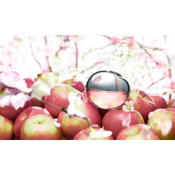 DKNY Be Delicious Fresh Blossom, EDP - moteriški kvepalai