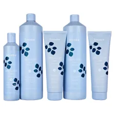 ECHOSLINE DAŽNAM NAUDOJIMUI