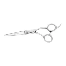 Profesionalios žirklės pradedantiesiems kirpėjams Nikarma Niko III X 04 5,5