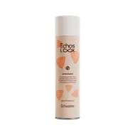 ECHOSLOOK Ecopower plaukų lakas be dujų, 320 ml