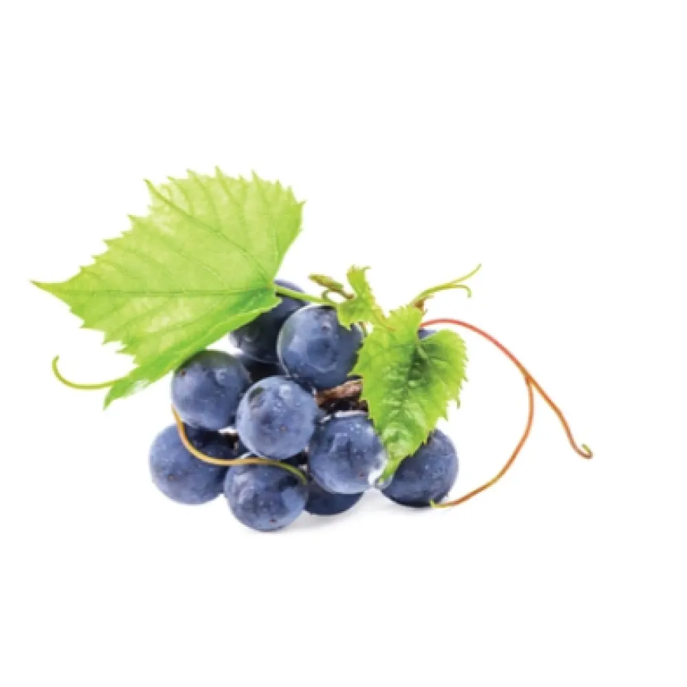 CARELIKA Gold kūno šveitiklis su auksiniais blizgučiais, kaviaro ekstraktu ir augaliniu glicerinu, 200 ml