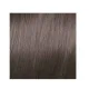 ELGON GET THE COLOR - Kreminė plaukų spalva, 9/1 - SUPER LIGHT ASH BLONDE / itin šviesus pelenų blondas
