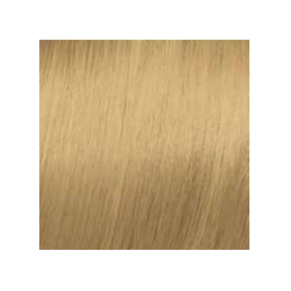 ELGON GET THE COLOR - Kreminė plaukų dažai, 9/3 - SUPER LIGHT GOLDEN BLONDE / super šviesus auksinis blondas