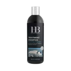 H&B Treatment Shampoo For Men - šampūnas vyrams, 400 ml