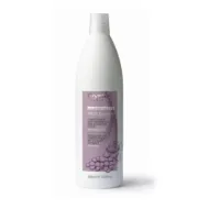 Oyster FRUIT SUBLIME Grape Extract Conditioner – kondicionierius kasdieniam naudojimui, 1000 ml