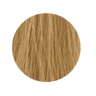 ETB Hair Permanent Color Cream - 10.00 - BLONDE PLATINUM INTENSE NATURAL