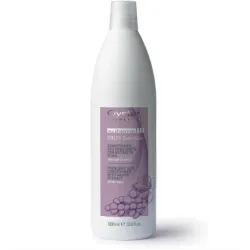 Oyster FRUIT SUBLIME Grape Extract Conditioner – kondicionierius kasdieniam naudojimui, 1000 ml